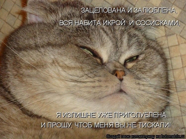 "Без кошек жить нельзя на свете, нет!" (часть 3)