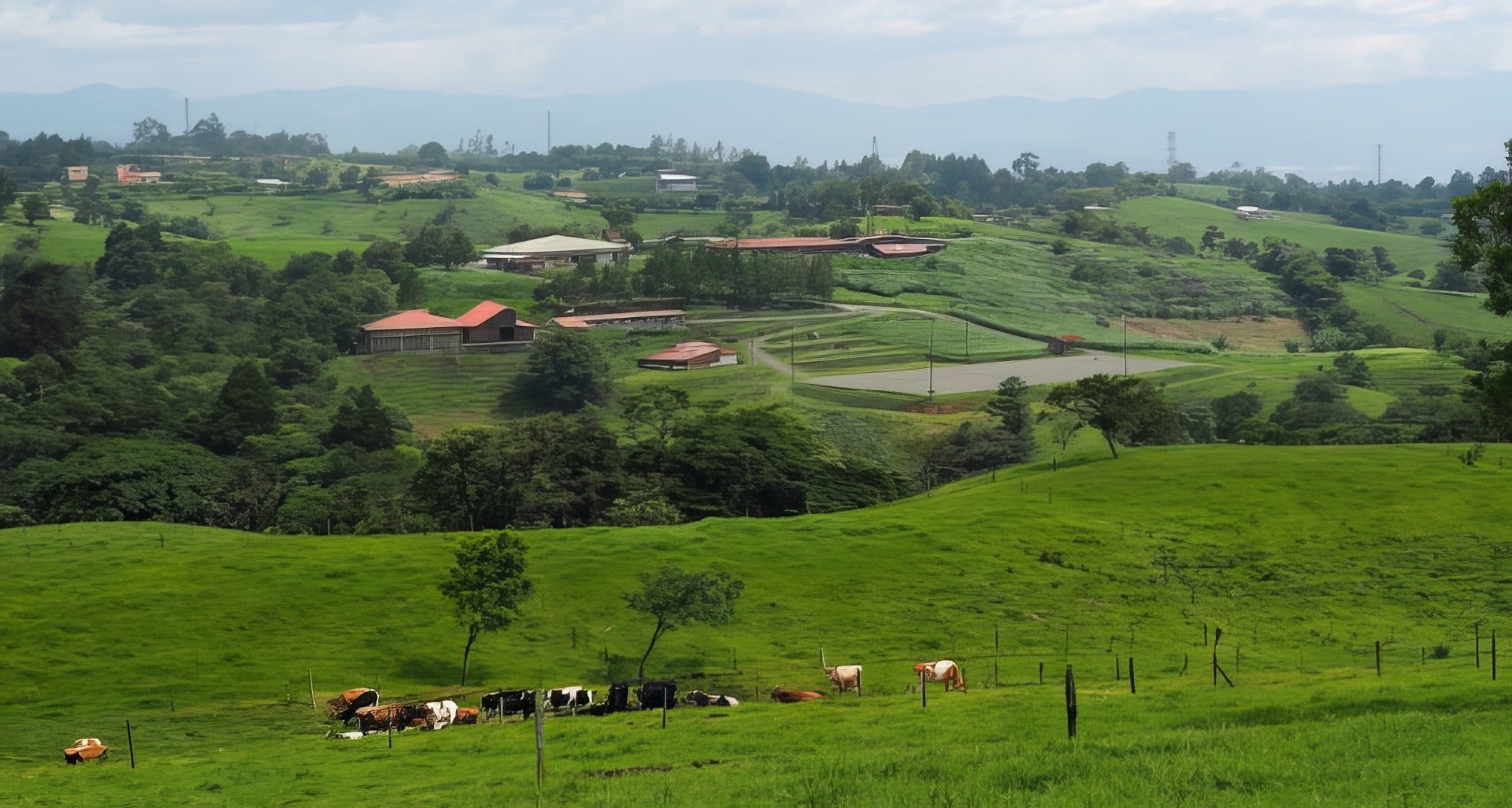 Встать, суд идёт... Часть 7. Адвокат расширяет мой иск, но при этом совершает неожиданные странные ошибки