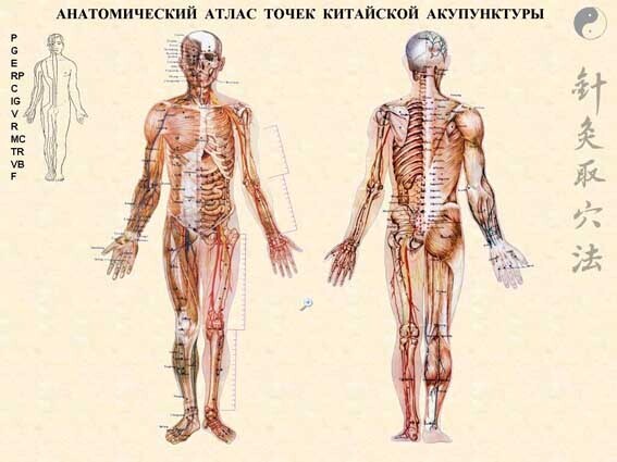 Необычные способы лечения: мир натуральной медицины.