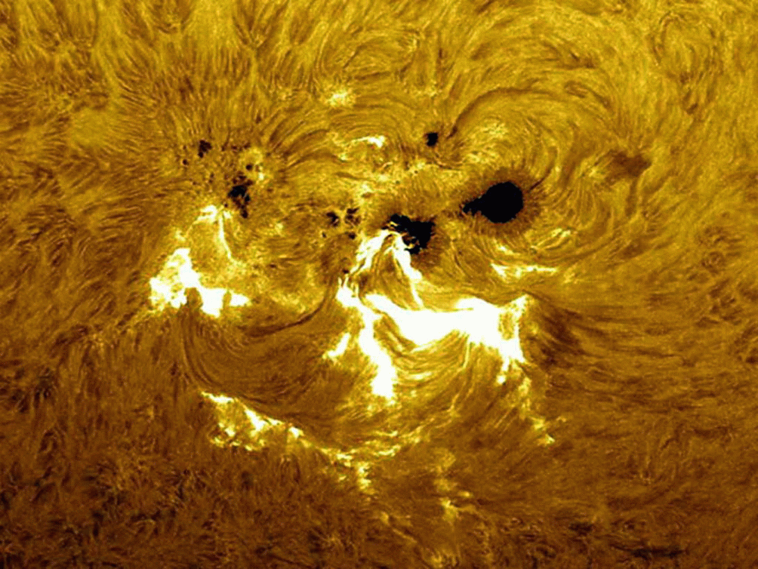 Источник жизни-Солнце!