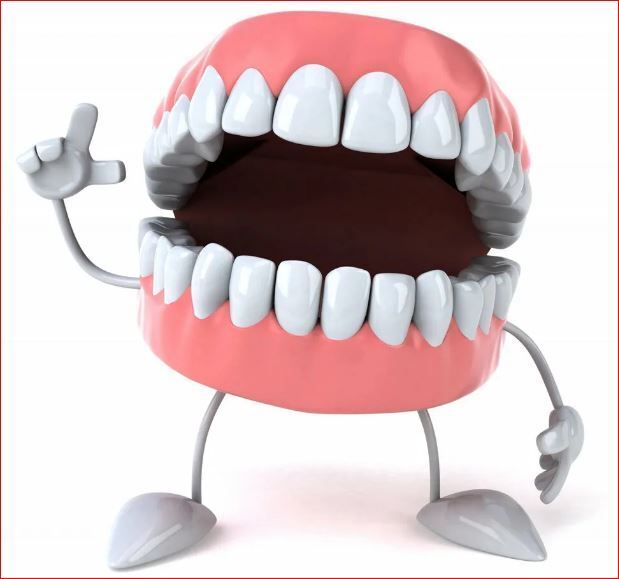 Свершилось! Японские дантисты научились выращивать зубы!