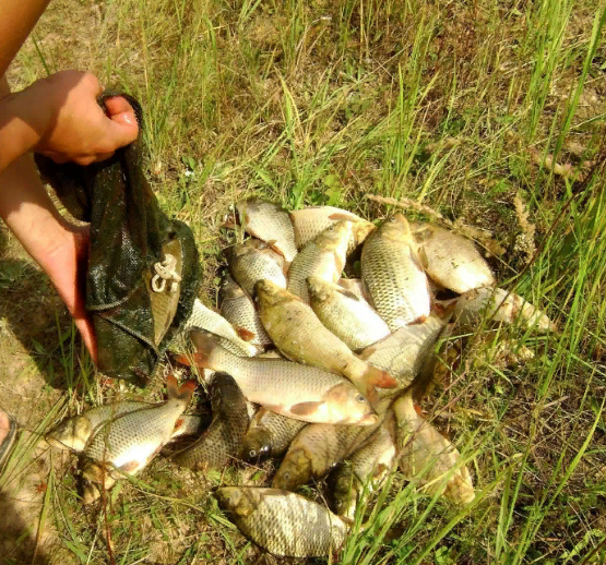 Он врал-виртуозно и даже не краснел при этом.