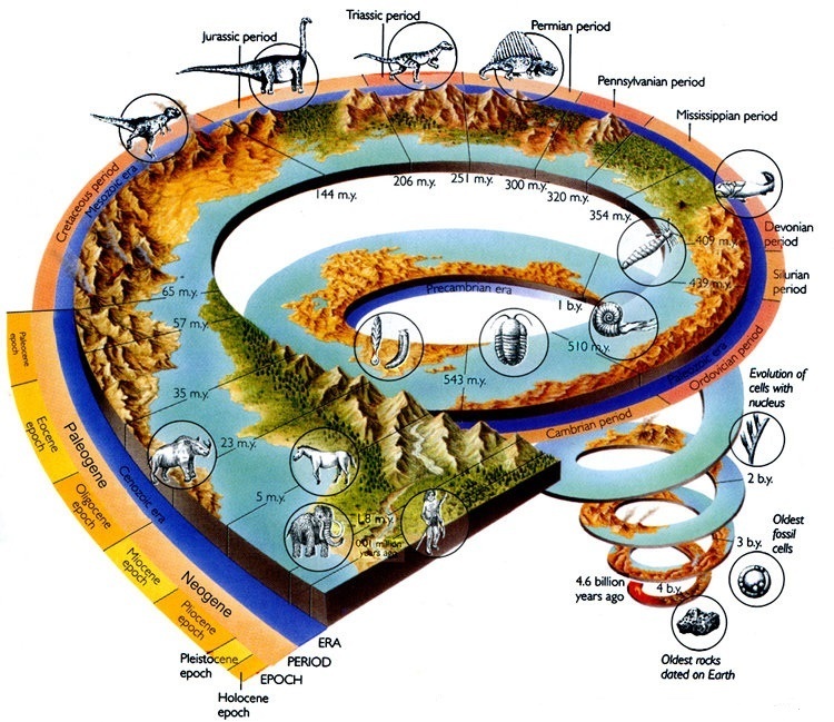 Эволюция: процесс, преобразующий живые организмы