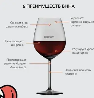 Польза или вред?