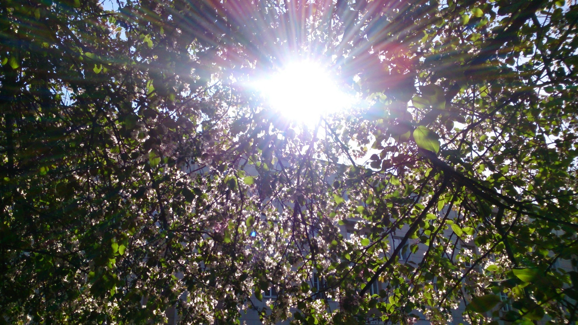 Юридическая консультация 2023 09 28 (задача для третьекурсника)