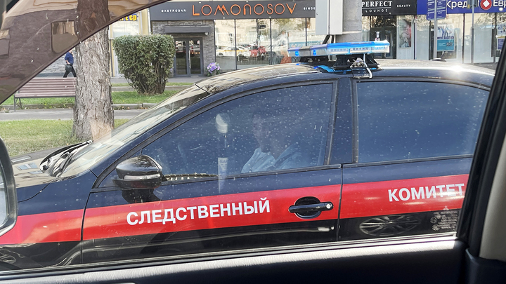 В Москве дети мигрантов избили девятилетнюю девочку