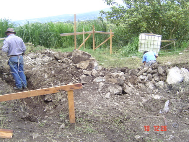 Встать, суд идёт... Часть 10. Мой пример оказался заразительным. Пришёл ответ из соцстраха, в котором сообщалось, что меня в списках нет