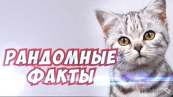 рандомный факт о человеке. рандомные интересные факты. балди комиксы. гороскоп интересные факты. водка радиация.
