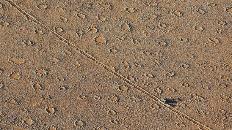 Таинственные «волшебные круги» обнаружены в сотнях мест по всему миру, говорится в новом исследовании