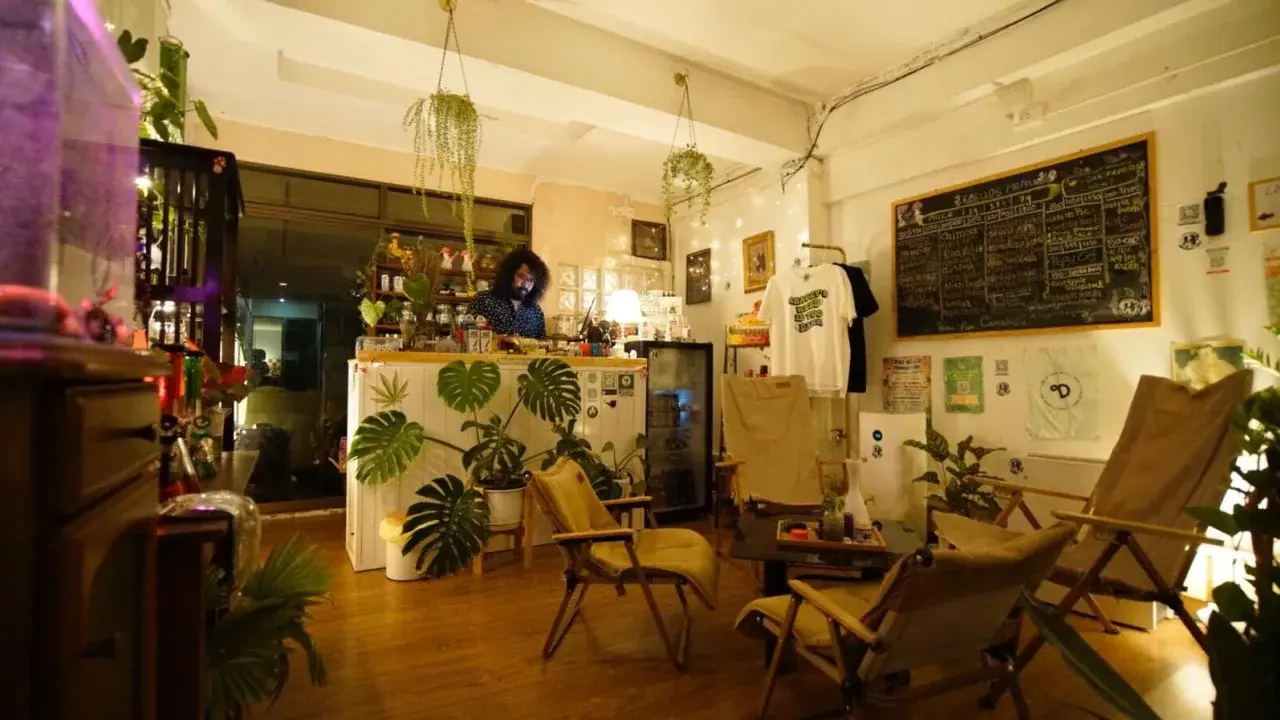 Травяное похмелье? Почему Таиланд сомневается в декриминализации каннабиса