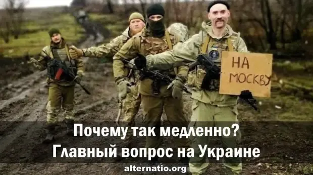 Украинские диванные войска | Андрей, 30 сентября 2023
