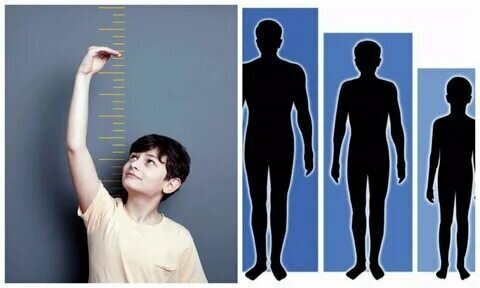 Как правильно выбрать витамины и минералы для своего организма?Большой обзор