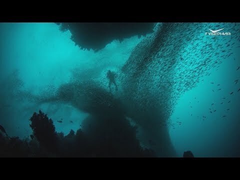 Тайны океана: загадочные создания глубин.