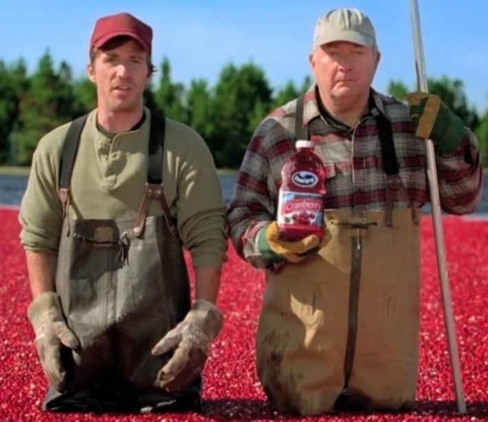 Эти Суперпродукты Могут Предотвратить Рак, Болезни Сердца, Ожирение И Многое Другое