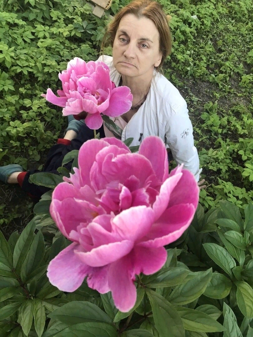 Вспомним Задорнова, или смех во время чумы