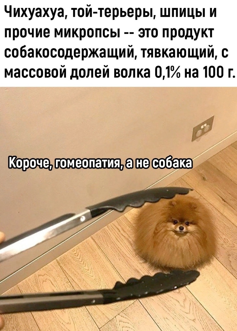 Вспомним Задорнова, или смех во время чумы