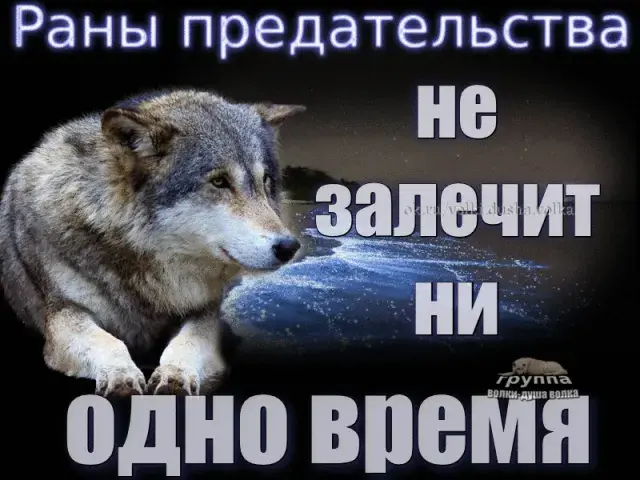 Предательство близкого человека. Когда доверие рушится