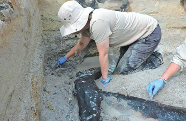 В Замбии обнаружено одно из самых старейших деревянных строений в мире