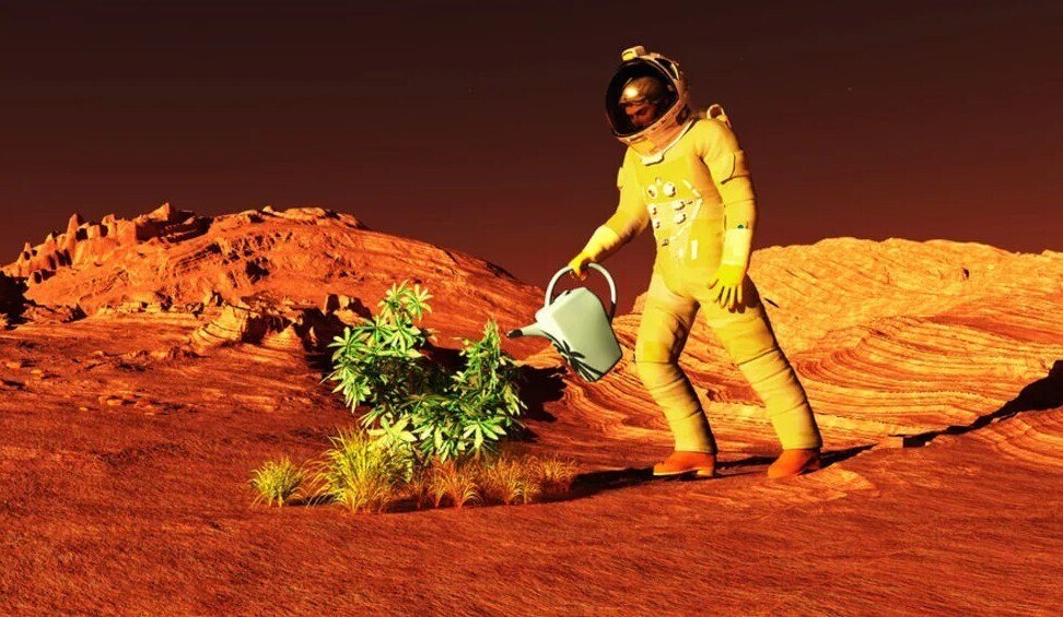 В поисках жизни на Марсе: раскрытие тайн и теорий