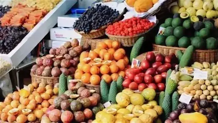 Путешествие в загадочный мир подводного рифа