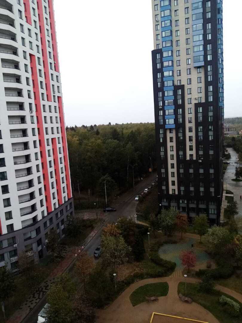 Убийство за замечание – реальная история со страшным концом