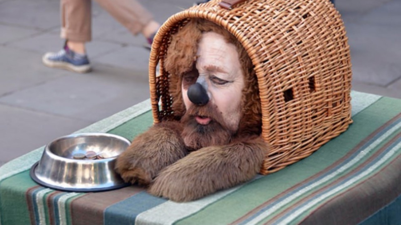 Как немецкие «псины» требуют уважения прав и свобод собак