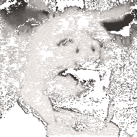 001.gif
