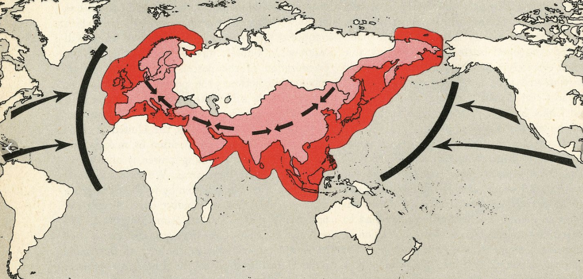 Потерять первенство в Западной Европе-главный страх США. Историческое обоснование