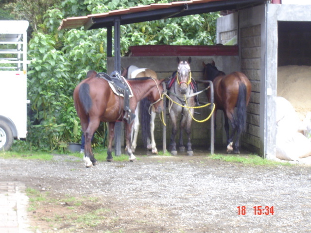 Встать, суд идёт... Часть 16. Пару слов о свидетелях ответчиков. Нашлось самое важное документальное доказательство