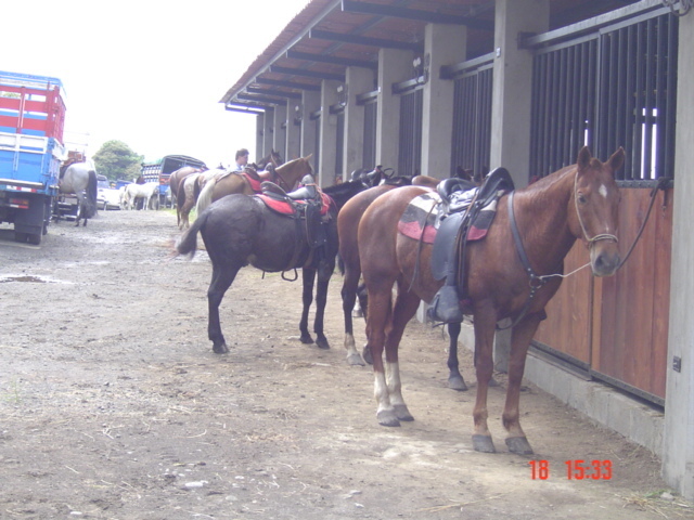 Встать, суд идёт... Часть 16. Пару слов о свидетелях ответчиков. Нашлось самое важное документальное доказательство