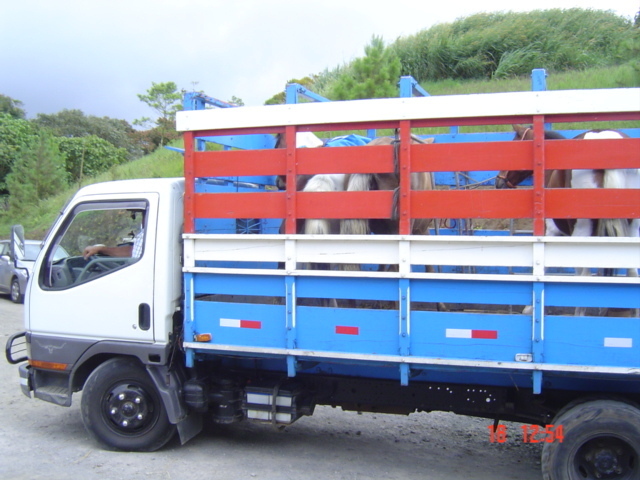 Встать, суд идёт... Часть 16. Пару слов о свидетелях ответчиков. Нашлось самое важное документальное доказательство