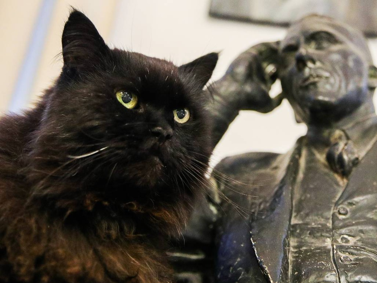 Булгаков и кошки. Что было бы, если б писатель сделал героем своей повести кота?