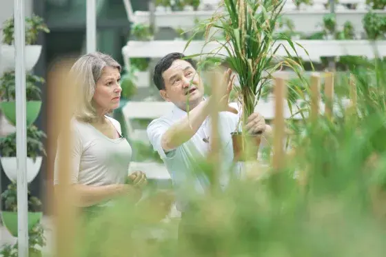 Экстремальные погодные условия и война в Украине ставят продовольственную безопасность в центр внимания Китая