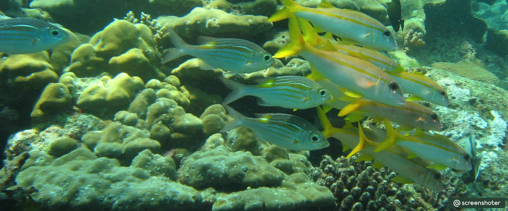 Индонезия. Провинция Ачех.