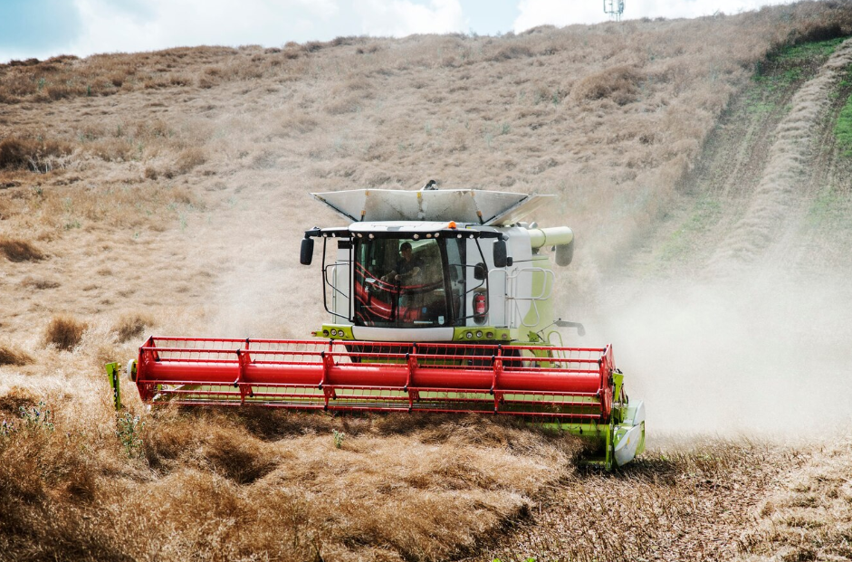 Перспективы развития сельского хозяйства в России и меры государственной поддержки этой отрасли.