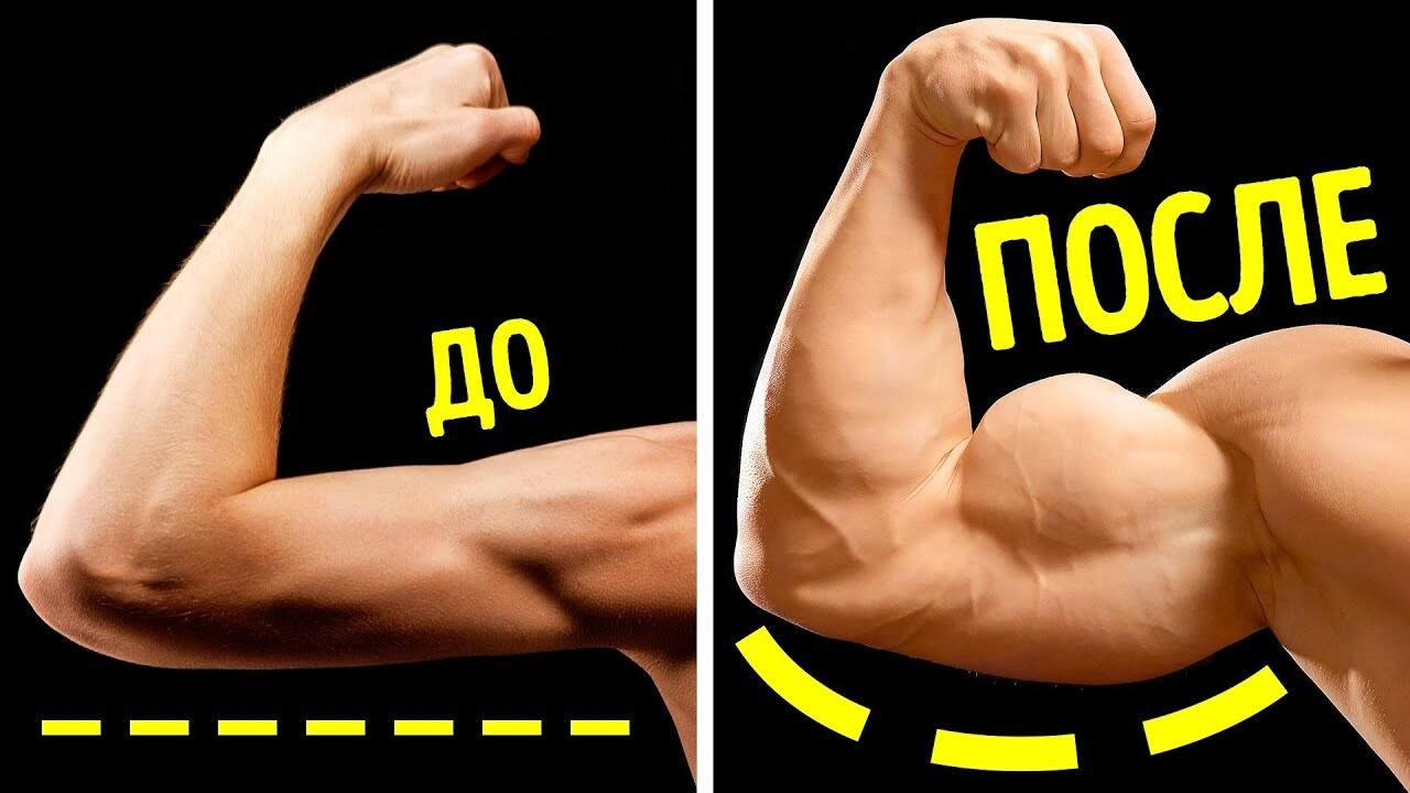 Уникальная статья о бицепсе