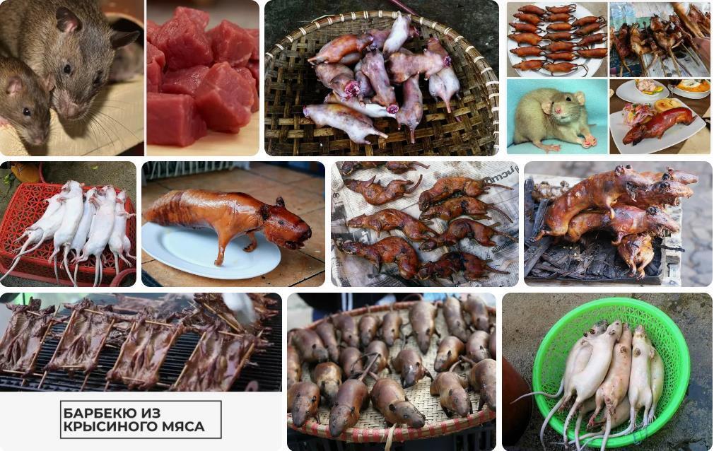Почему крысиное мясо такое вкусное?