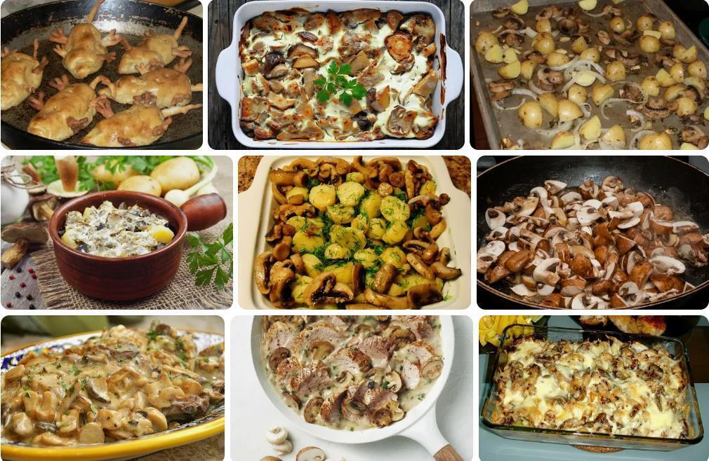 Как приготовить белую крысу с грибами в духовке