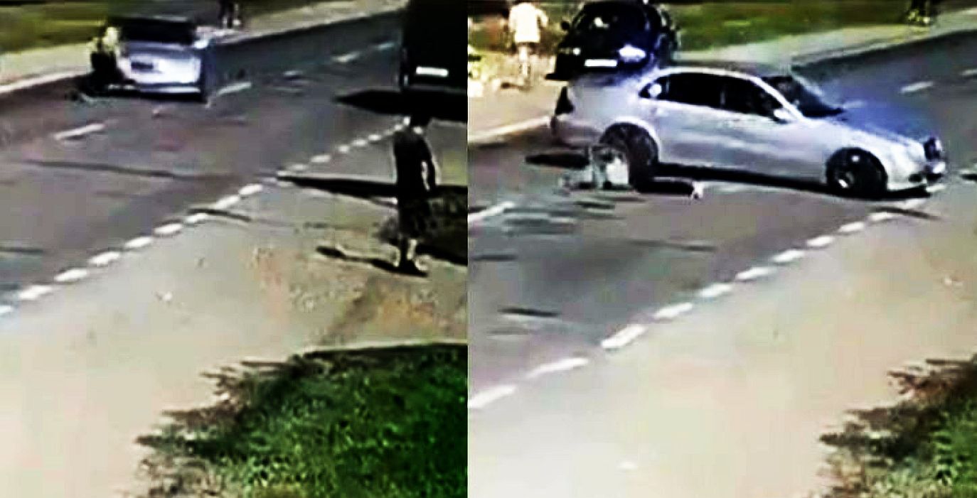 Последний арбуз в моей жизни: трагический конец поездки за ягодами