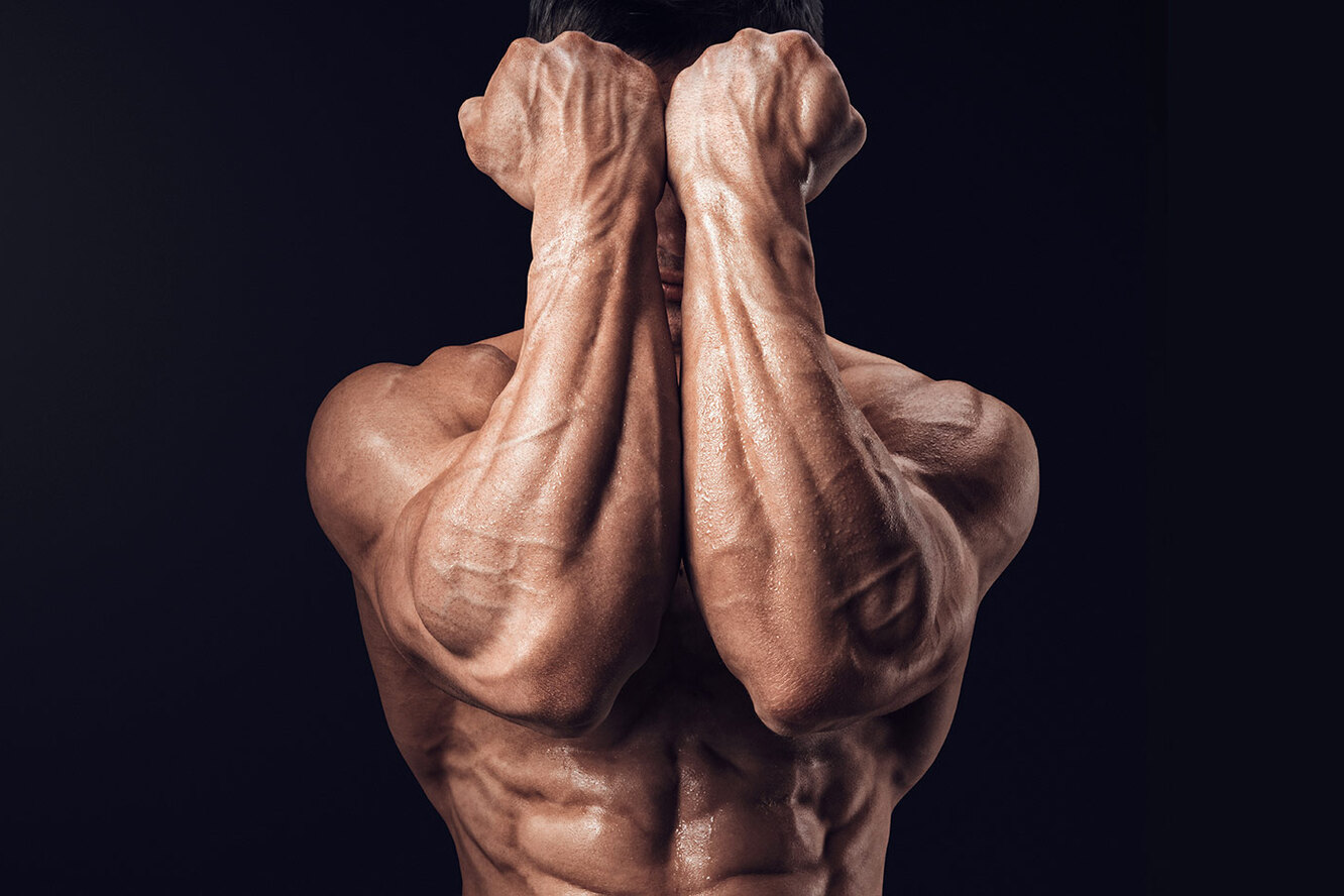 Уникальная статья о предплечье