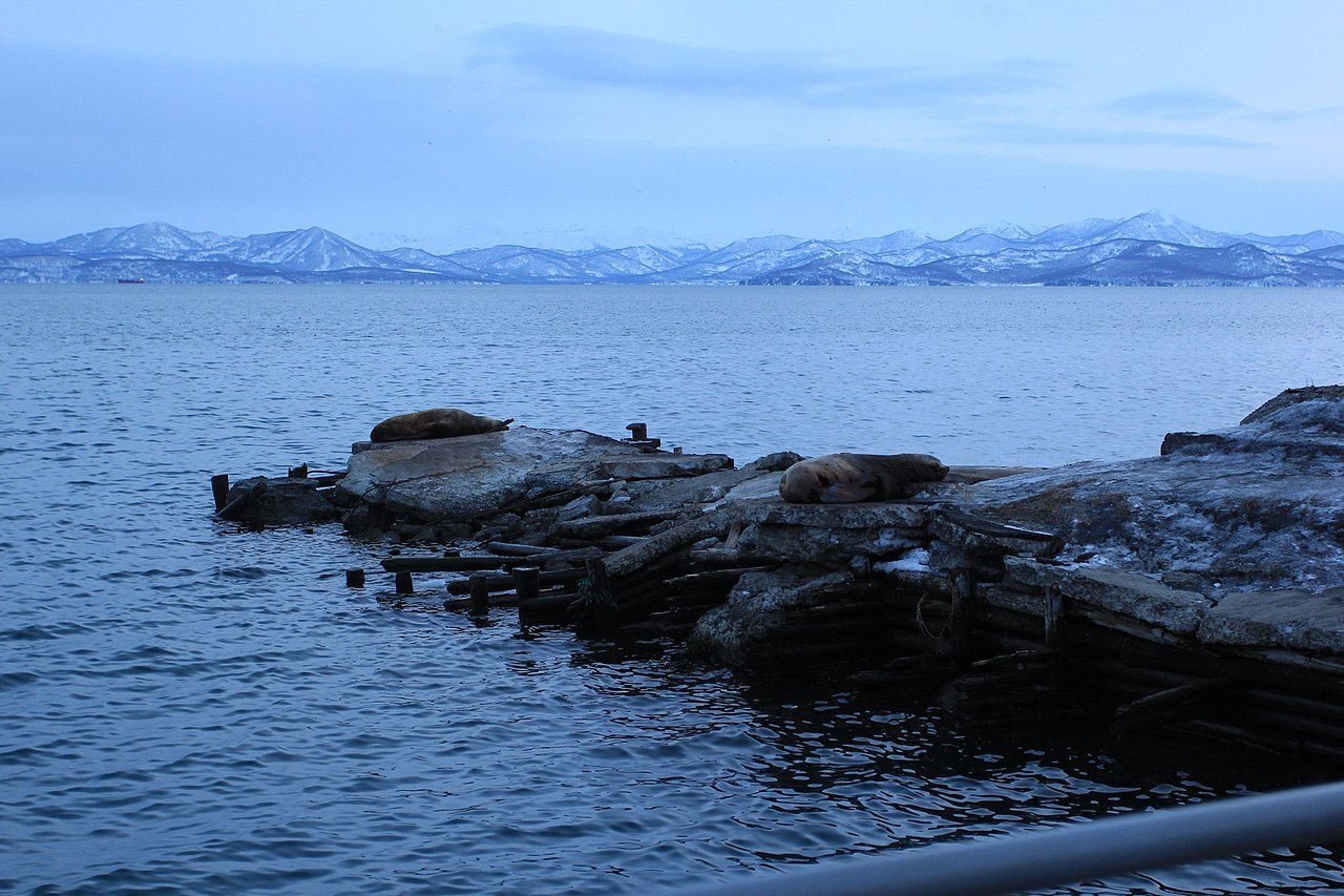 Рассказ "Город Петропавловск-Камчатский"