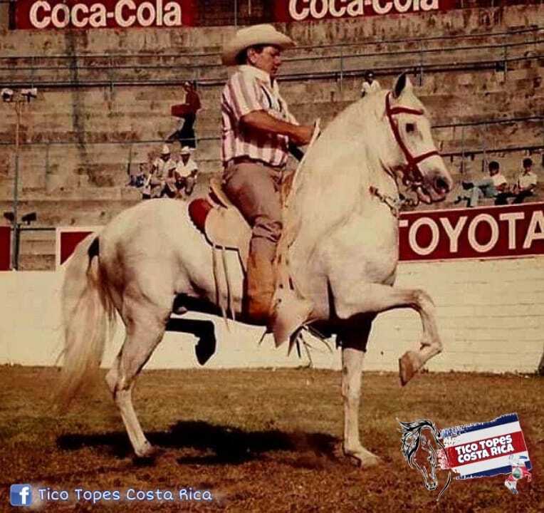 Ранчо Сакраменто, как оно было на самом деле. Часть 1. Начало моей трудовой деятельности на ранчо