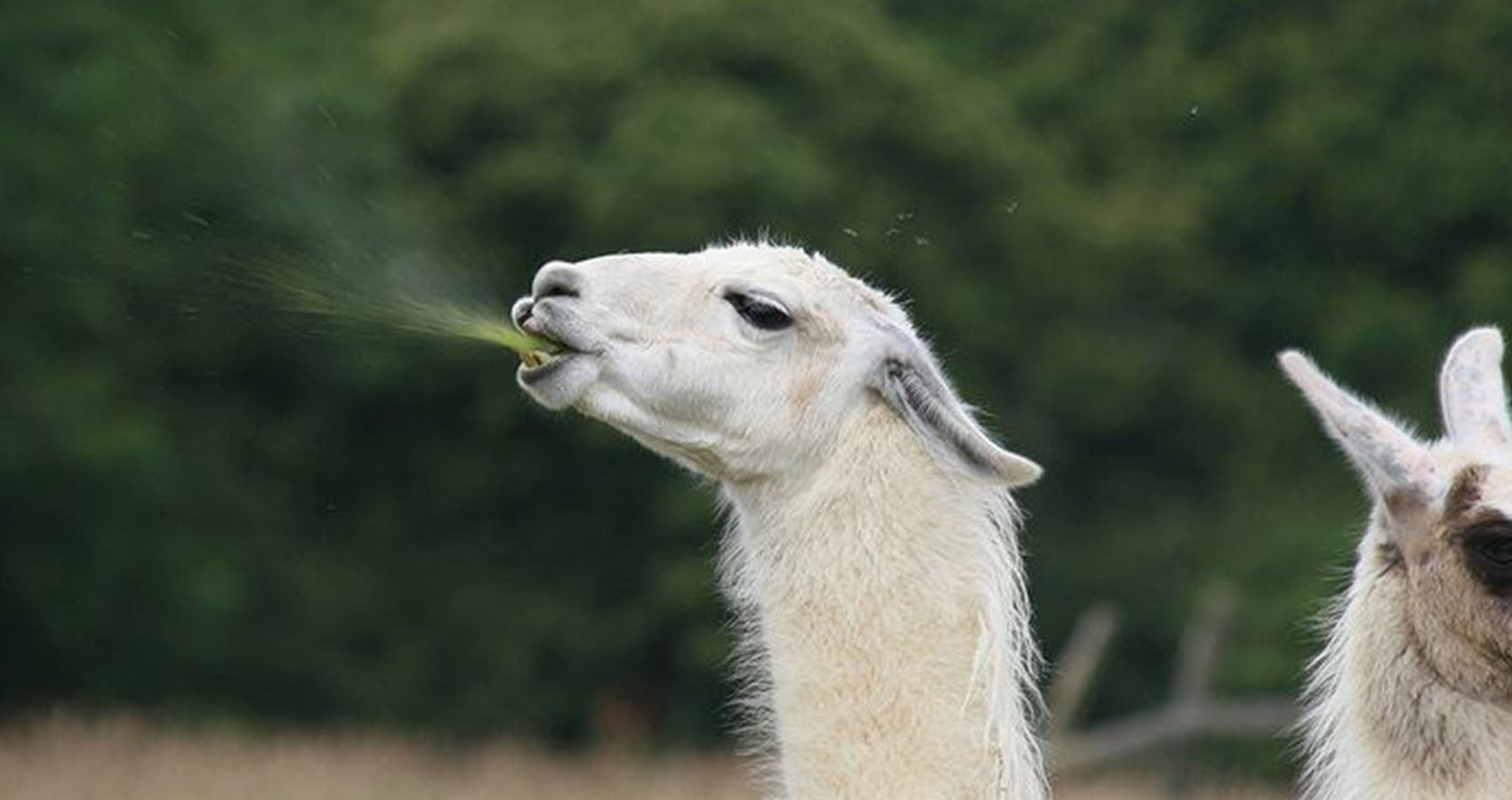 Гражданам за доносы могут платить деньги. Что важно знать?