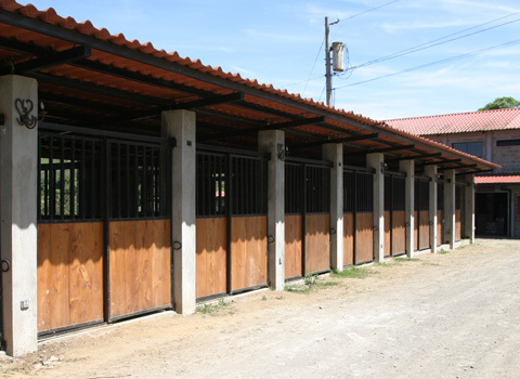 Часть 2. Как меня уговорили стать управляющим на ранчо Сакраменто