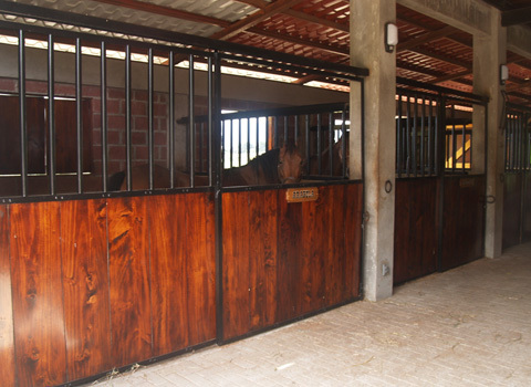 Часть 2. Как меня уговорили стать управляющим на ранчо Сакраменто