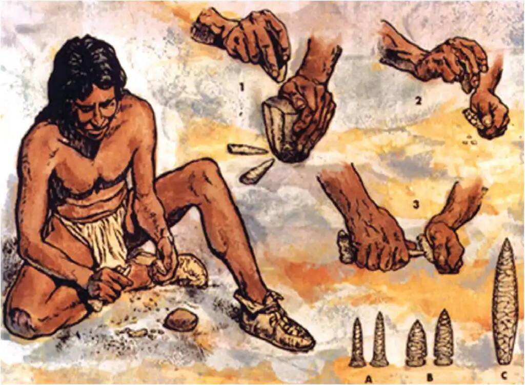 Особенности рук человека по отношению к другим видам живых существ