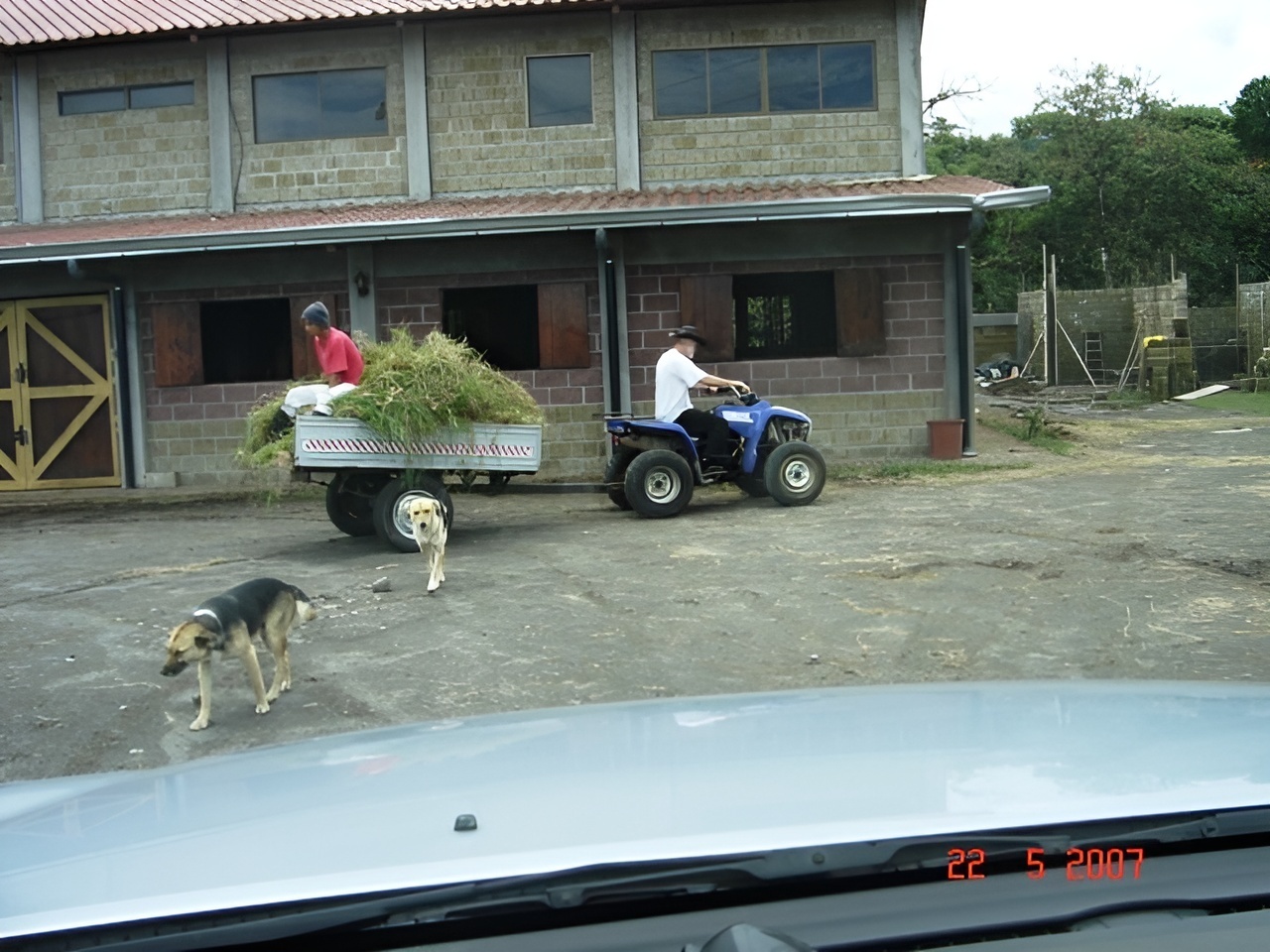 Часть 4. Ранчо Сакраменто. Подтягиваю дисциплину и встречаю нового «старого» зоотехника и его жену