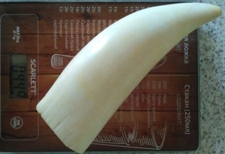 Очень дорогие зубы. А чьи?