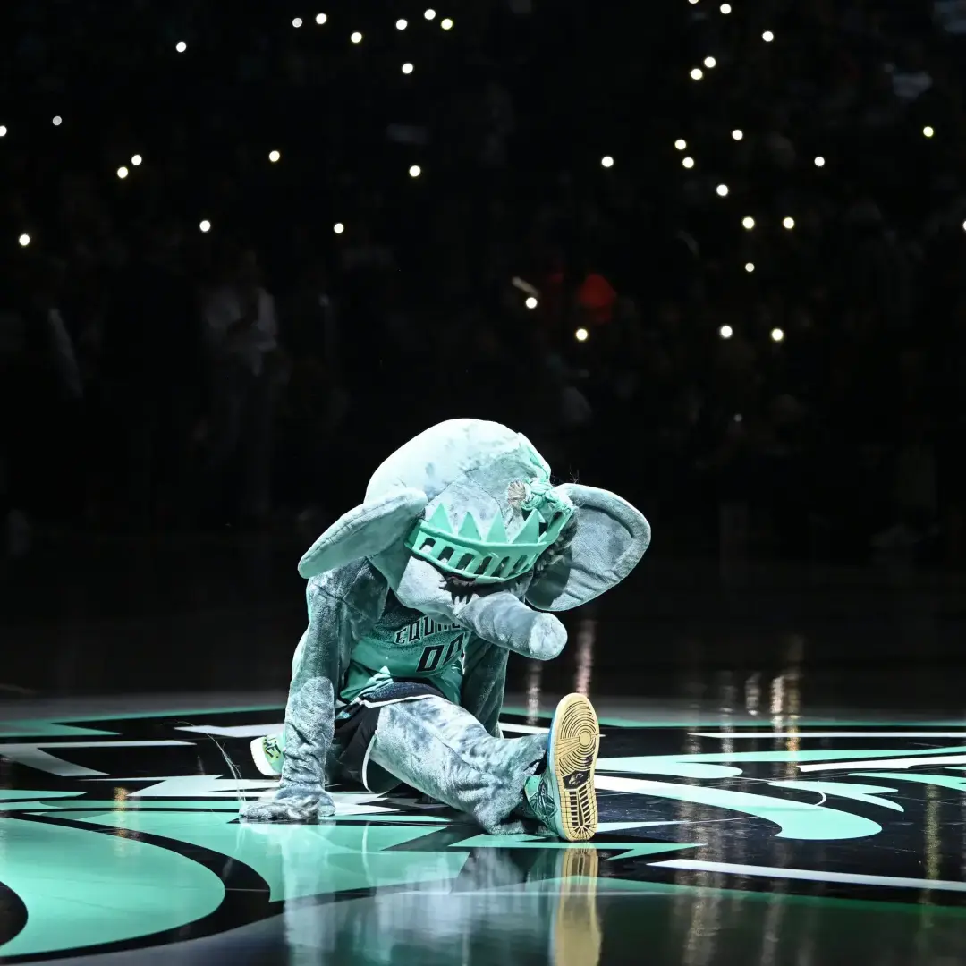 Вы когда-нибудь видели, как слониха танцует тверк?