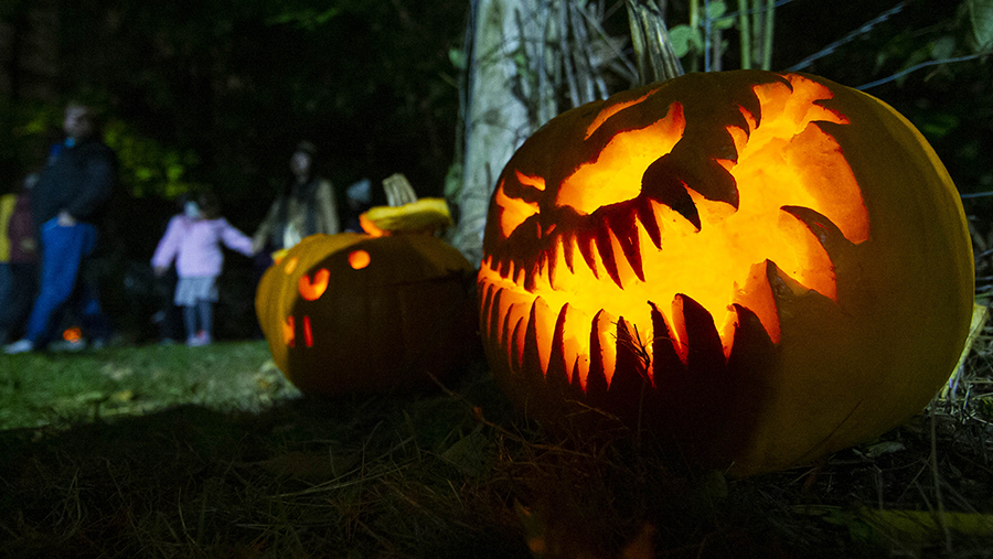 Хэллоуин: праздник мистики, костюмов и сладостей